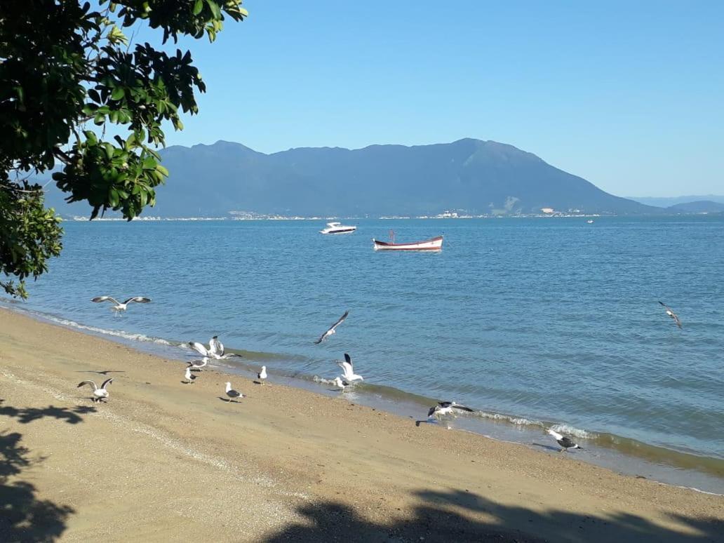 Casa Agradavel, 50M Da Praia Freguesia Do Ribeirao Da Ilha Florianópolis Dış mekan fotoğraf